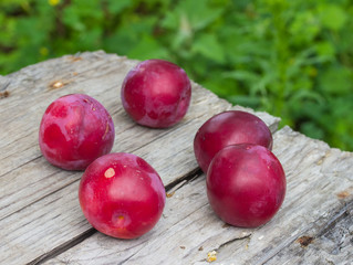 cherry plums