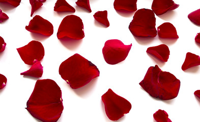 Rose petals