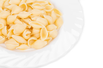 Close up of Italian pasta shells.