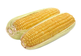 Fresh Corn isolated on white background
