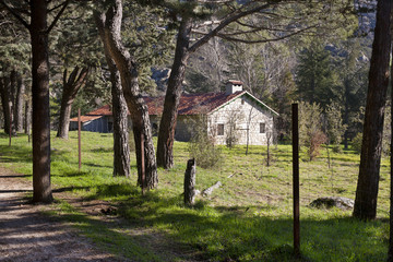 Fototapeta na wymiar Casas forestales en la Sierra de Guadarrama. El Espinar. Segovia