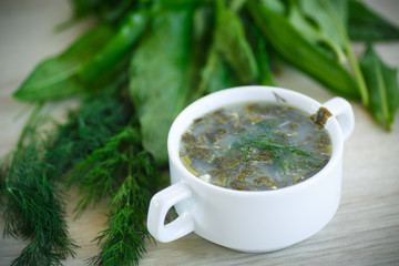 sorrel soup