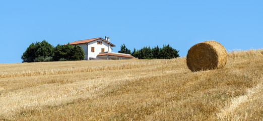 Summer landscape in Marches (Italy)