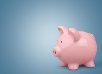 Piggy Bank. Piggy Bank Savings