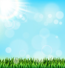 Fototapeta na wymiar Green grass lawn with sunlight on blue sky. Floral nature spring