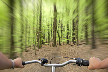 Fototapeta na wymiar Radfahrer im Wald dynamisch