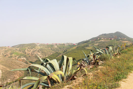 Ouest alg&eacute;rien