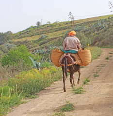 Agriculteur algérien
