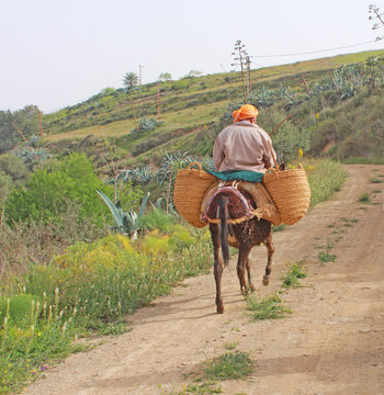 Agriculteur alg&eacute;rien