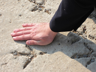 Footprint in the sand