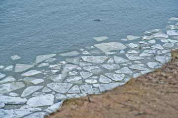 Ice floes on the water.Forest.