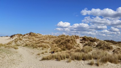 Dunes