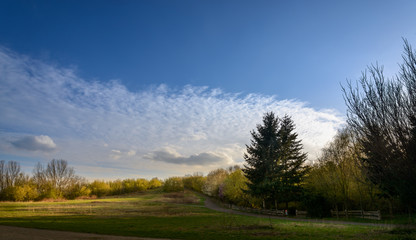 Obraz premium Sonnenuntergang im Berliner Volkspark Prenzlauer Berg