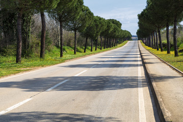 Long Road Ahead