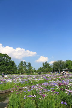 Sakikimi Photos Images Assets Adobe Stock