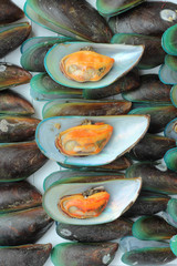 Fresh mussels