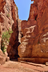 Siq gorge in Petra, Jordan