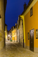 Obraz premium golden lanie in prague castle.