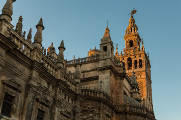 Fototapeta na wymiar Catedral de Sevilla