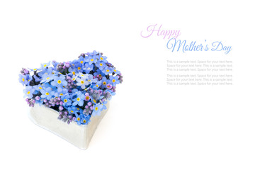 forget-me-not flowers in a silver heart shape isolated, sample t
