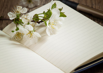 cherry blossom on a notepad with a pen, selective focus
