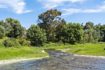 Fototapeta na wymiar River landscape with trees