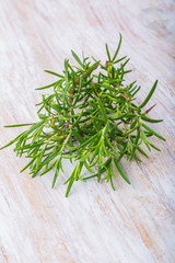 Branch of fresh rosemary on a white wooden