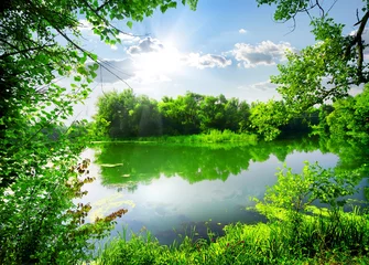 Wall murals Green Green spring on river