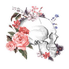 Roses and Skull, Day of The Dead, Vector illustration