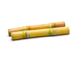 Sugar cane isolated on white background
