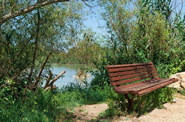 bench on the background of the lake