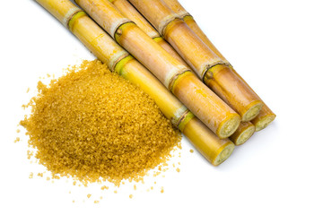 Sugar cane isolated on white background