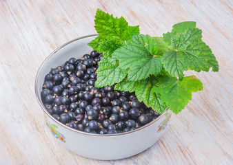 Blackcurrant in a bowl