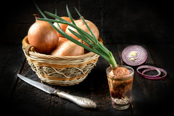Different types of onions. Toned photo