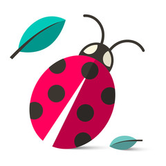 Fototapeta premium Ladybird - Ladybug Vector Illustration Isolated