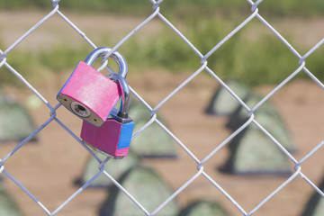 couple pink padlock on metal fench