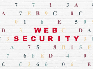 Security concept: Web Security on wall background