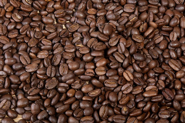 Nur der beste Kaffee.