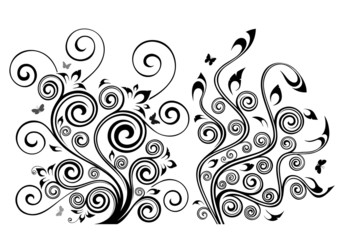 Set of two vector floral illustrations