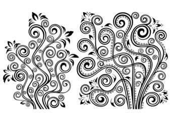 Set of two vector floral illustrations
