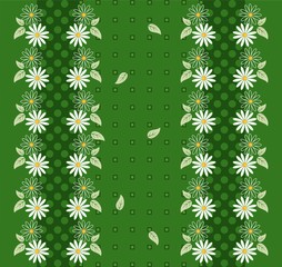 Flower background with daisies and borders