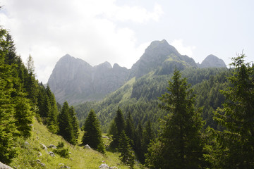 Fototapeta premium Carnia