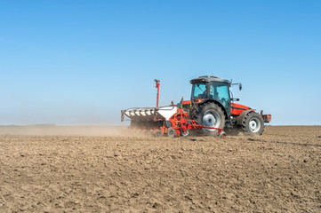 Obraz premium Sowing