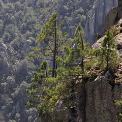 Haute montagne Corse