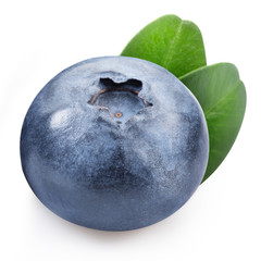 Obraz premium blueberries