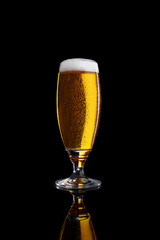 Glass of light beer isolated on a black background.