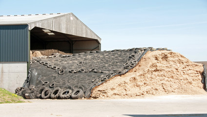 Cattle fodder © chelle129