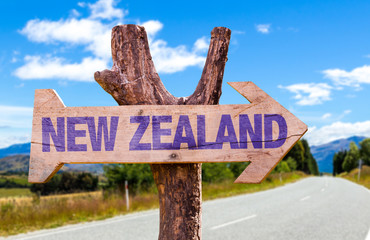 New Zealand wooden sign with road background
