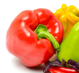 Sweet pepper, chili pepper and basil isolated on white
