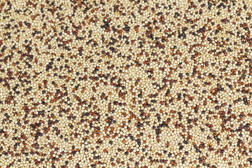 Mixed Quinoa